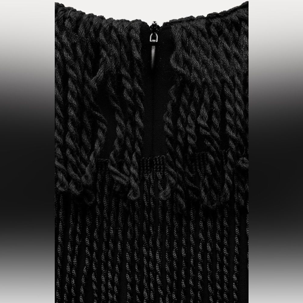 Zara fringe mini dress - Picture 6 of 6